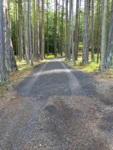 Friday Harbor excavation services